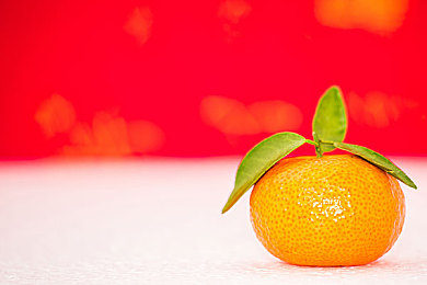 系统升级中狼拿笔记一2bbuu：探索游戏新纪元，揭秘《狼拿笔记一》升级背后传奇故事