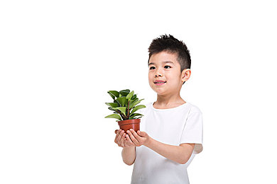 黄色大全404：揭秘404乐趣盛宴：畅游创意娱乐新天地-2