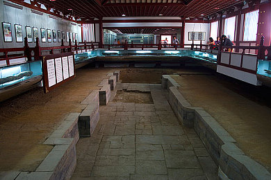 大菠萝福建官方入口：畅游福建，体验非凡，《大菠萝》官方新门户助力游戏新篇章