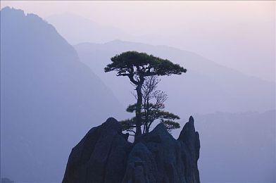 国产天美传媒原创AⅤ片四季：四季流转，动画奇观，探寻生命轮回之美-1