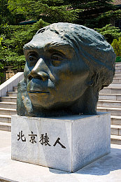 精品成品国色天香摄像头：国色天香惊艳亮相，引领科技美学新潮流，高清美颜夜视，直播界神器备受追捧