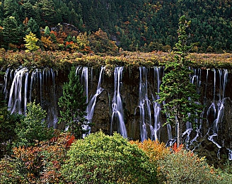 日本邪恶全彩工囗囗番有妖气：神秘妖气之旅，探寻动漫奇幻世界
