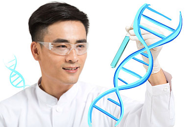 yingdan小镇2公交车尺寸：畅游梦幻小镇，体验公交车巧匠心，探索 Yingdan 风光新奥秘