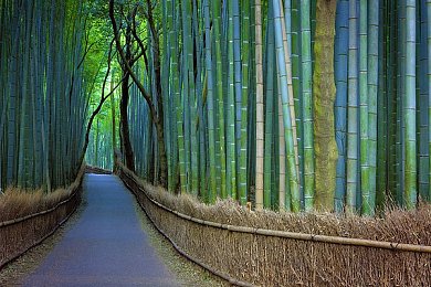 欧美永久激情一区二区：探索欧美游戏圣地：揭秘激情一区二区独领风骚的魅力-1