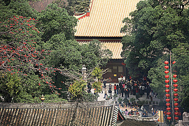 男按摩师上门服务1069：上门按摩1069：便捷专业，为都市生活注入宁静与美好