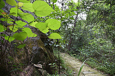红桃视颏隐藏代码：揭秘《红桃视颏》神秘代码：探秘视觉游戏中的智慧迷宫-2