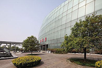 巴西丰满大屁股BBW：探索巴西社会“丰满美”现象：文化背景、审美观念与社会影响全解析