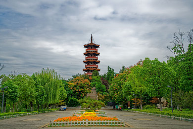 黄色片区：城市焕新大作战：净美家园，共筑宜居梦
