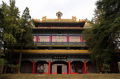 坐在学霸的大紫根上背单词：趣味互动学习新法：学霸陪伴助力高效背单词，激发英语学习热情-2