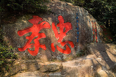 开心五月天婷婷：爱心编织温暖，志愿传递五月阳光-3