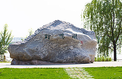 老头同性摸老头网站：关注晚年：同性恋老年社区网站助力特殊群体温馨交流-2