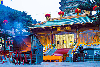 杰西·简壮志凌云2011：翱翔天空，梦想起航：杰西简飞行之旅