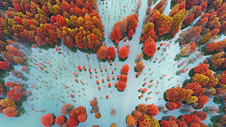 lutube轻量版下载ios下载网址：轻快视频，一触即达，短视频新宠lutube轻量版体验