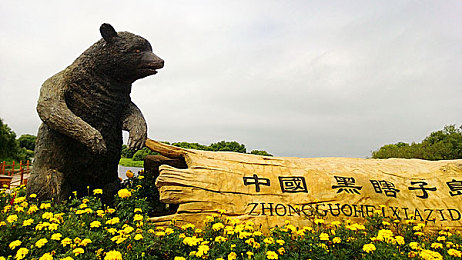 成人 性视频免费网站：网络监管风暴：净化网络，守护青少年心灵净土-1
