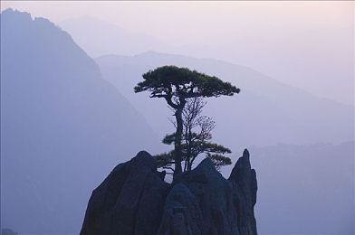 18成人黄色app：成人秘境探秘：隐私守护，互动盛宴，个性化体验-2