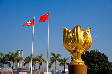 黄网站www.：网络清风行动：共筑清朗空间，守护网民权益之旅-2