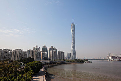 色猫黄色18软件：网络净化行动，守护清朗空间，严打违规软件，共建和谐网络
