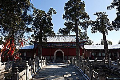 老师蹭在桌角上自慰：惊曝：某教师课堂不雅行为引发热议，教育道德再受质疑