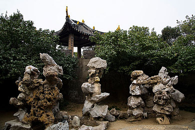 殴美性护士free：护理巅峰之旅，欧美自由温馨呵护-1