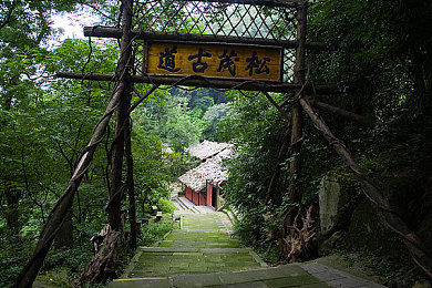 《暗夜精灵》双男主：神秘奇幻世界，生死之交情谊燃，双男主魅力引爆荧屏-2