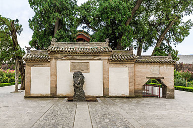 天堂中文在线8：穿梭虚拟仙境，探寻梦想乐园的奥秘之旅-2