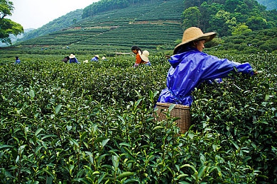 受虐狂 极端 奴役 折磨：虚拟游戏探秘：极致奴役与折磨体验，揭秘受虐狂心理世界