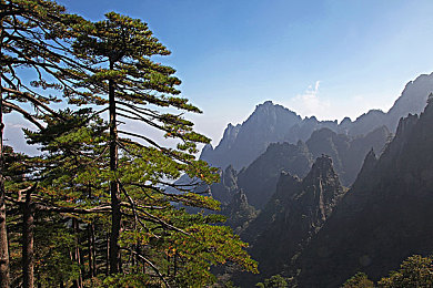 阿娇陈冠希囗交画面详细：隐私风暴：娱乐圈丑闻背后的真相探索-3