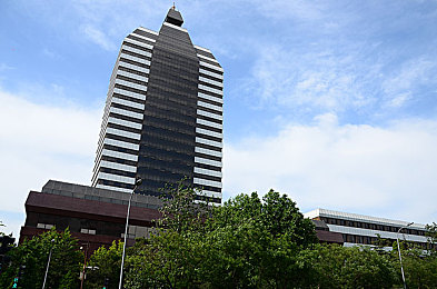 香港三 葵花宝典：游戏秘籍宝典：解锁香港三，畅游无尽乐趣-3