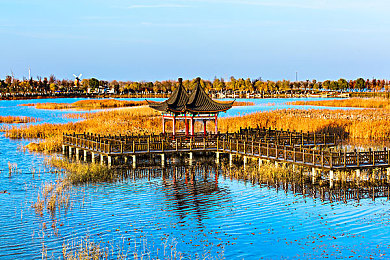 爱情岛淘宝：浪漫跨界购，体验新潮流-4