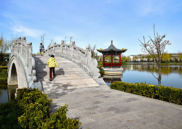色干天天网：色彩织梦，活力天天，畅享无限魅力生活圈