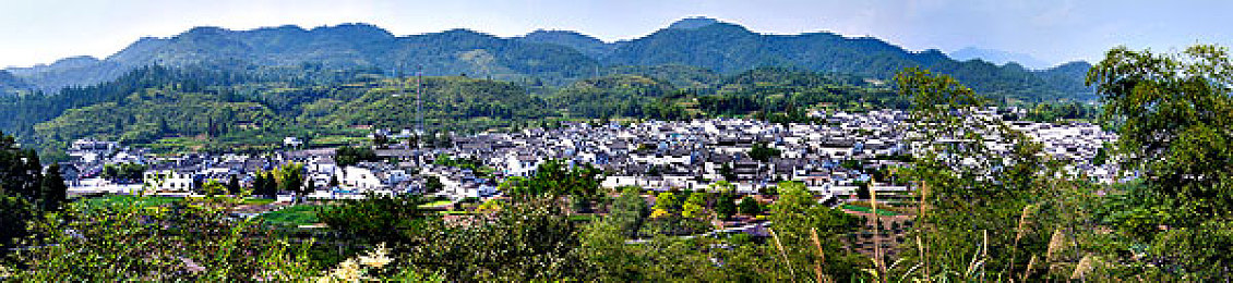 甘露寺和蛇柱繁殖：探寻千年古寺奇观：甘露寺蛇柱繁殖神秘仪式揭秘-2