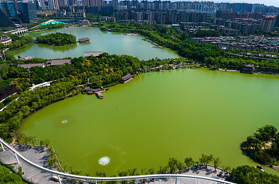 黑料 暗网：网络阴影猎手：揭露隐私泄露的暗网危机-3