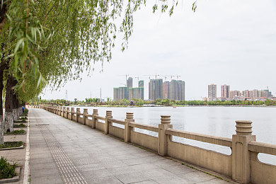 天堂中文在线资源：穿越知识海洋，解锁中文宝库之旅-2