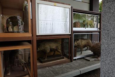 全彩※ACG里番 全彩：彩虹幻域，全彩ACG角色，视觉盛宴冒险之旅-3
