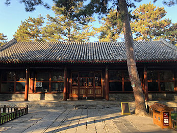 巜商务旅行老板同行房：商务新宠：老板同行房引领酒店舒适出行潮流-4