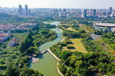 把老师按在桌子上c了一节课：“奇趣课堂：编程教学新方式引燃校园，师生互动打造创新学习体验”-3
