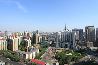 黑人猛交：跨越文化之桥，共筑和谐社区盛宴-3