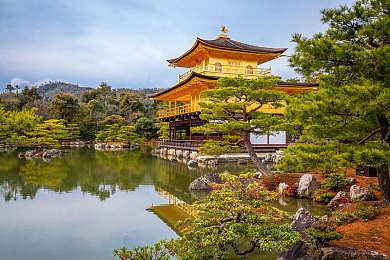 国精产品满18备好纸巾：国货新宠来袭，18岁福利狂欢，购物体验升级惊喜不断