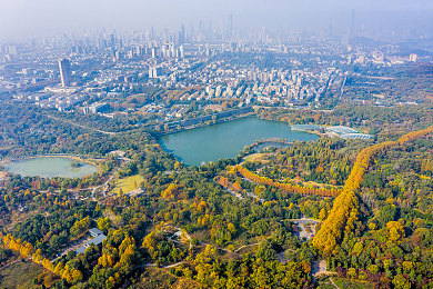 WWW.com含羞草：匿名守护，社交新纪元：揭秘含羞草社交平台的热议与影响-2