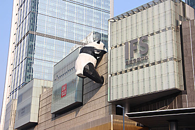 东京熟APP：“熟龄交友新天地，隐私守护不放松，安全社交任你行”-1