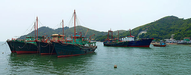 龙物视频yw193com：游戏奇幻之旅，龙物视频开启新视界-2