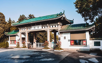 黄游火影：穿越战国，体验黄游魅力：“神秘游戏世界”引玩家竞相探索-3