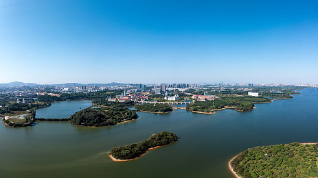 含羞草实验所：植物对话新天地，绿色奥秘探索之旅-1