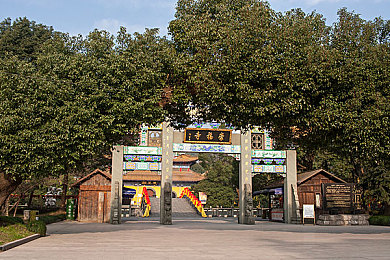 从西风骑士团开始的后宫之旅：奇幻后宫世界启幕，探索西风骑士团的奇幻之旅