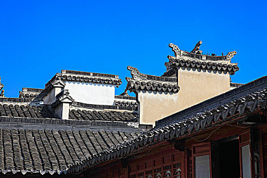 免费淫秽软件：揭秘网络陷阱：警惕色情软件潜藏危机，守护网络安全