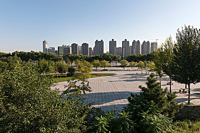 鸭脖视频小猪罗志祥：笑果明星效应：网络狂欢背后的争议与反思-2
