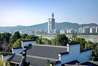 忘忧草www日本：穿越樱花之国，探寻日本文化之旅