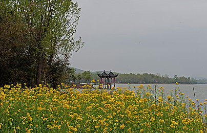 天堂中文在线资源的：文学宝库奇幻之旅，在线资源邀你探索经典与现代魅力-2