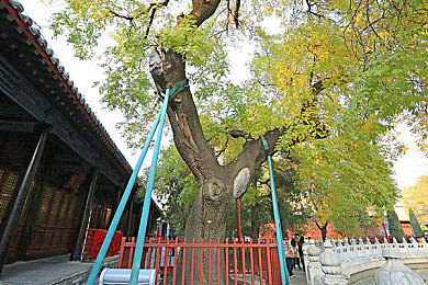 今日吃瓜热门事件：娱乐圈风云录：出轨风波、恋情曝光、公益正能量与抄袭丑闻齐飞
