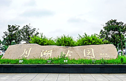 老太婆被躁的嗷嗷叫：紧急救助：广场奇迹，路见不平一声吼-3